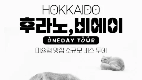 [홋카이도비에이설경 30명버스투어 ]1초도 웨이팅 없는 준페이식사 크리스마스나무닝구르테라스
