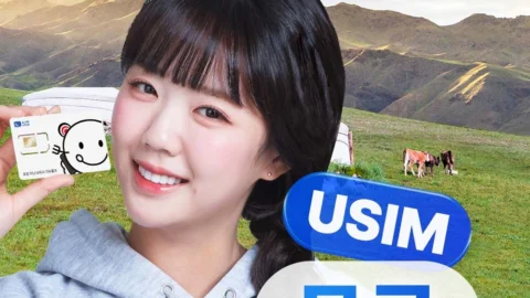 [몽골유심] 데이터 무제한 현지통화 무료 울란바토르 유심칩 인천공항 수령