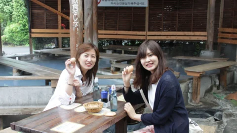 [특전 5가지, 유후인 하차가능, 매일확정] 유유버스투어 히벳유 히타 벳부 유후인 일일버스