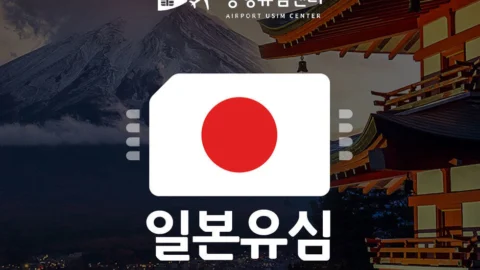 [일본 유심] 공항수령 / 1~10일 매일 1/2GB/무제한