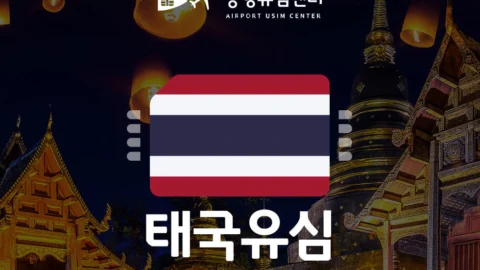 [공항유심] 태국유심 TRUE/DTAC 4일,7일,10일 무제한 (인천공항 수령)