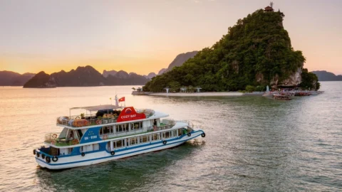 한국어 하롱베이 당일 크루즈 (Korean Halong Bay Tour)