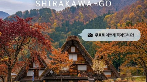 [인디고트래블] 나고야 시라카와고 히다 다카야마 일일 버스 투어 DSLR 촬영 서비스