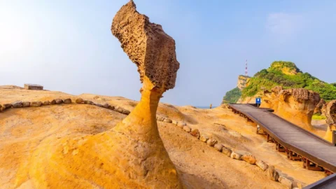대만 예류지질공원 입장권