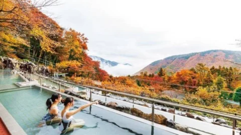 하코네 코와키엔 유넷산 입장권